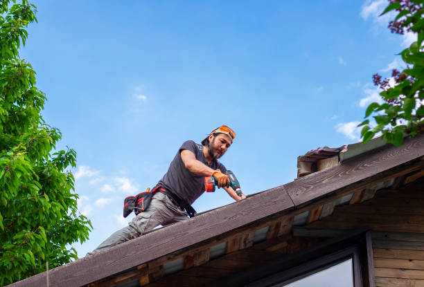 Best Gutter Installation and Repair  in Universal City, TX